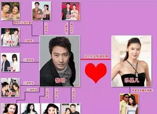 黎明再婚爆料最新消息,最新爆料揭秘婚姻内幕  第3张