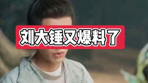 刘大锤爆料苏醒视频,揭秘背后惊人真相  第3张