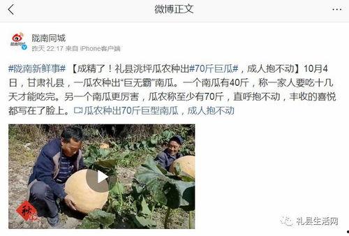 礼县吃瓜网红事件始末是什么,一场网络舆论的风暴与反思 第2张 礼县吃瓜网红事件始末是什么,一场网络舆论的风暴与反思 第2张