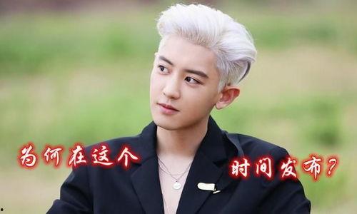 韩国娱乐圈金智妮爆料,独家爆料震惊业界! 第3张 韩国娱乐圈金智妮爆料,独家爆料震惊业界! 第3张