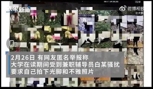 武汉大学女士爆料视频播放,揭秘校园内幕