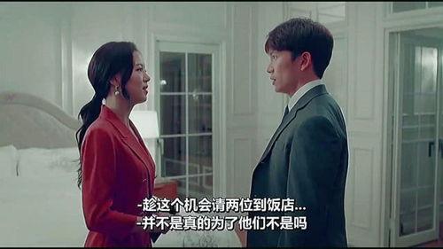 夫妻关系爆料视频大全集,揭秘婚姻背后的真实故事  第2张