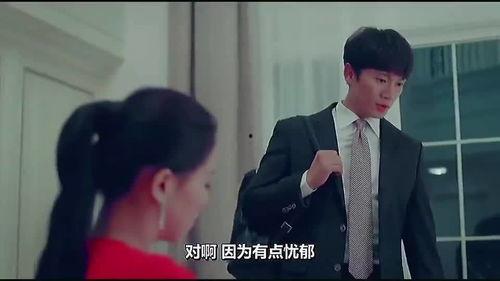 夫妻关系爆料视频大全集,揭秘婚姻背后的真实故事  第3张