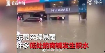 临沂探店爆料事件视频,揭秘美食背后的故事  第3张