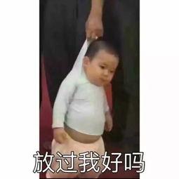 抖音宁哥被爆料视频大全,揭秘背后真相与争议  第3张
