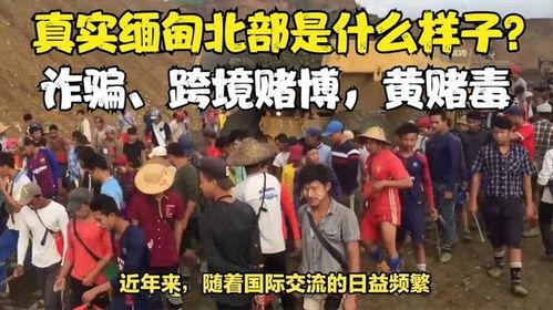 缅甸北部内部人爆料视频,揭秘神秘势力动态  第3张