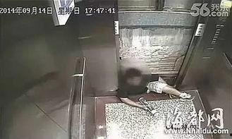厦门学校爆料视频曝光,校园事件真相曝光