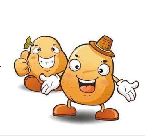 龙珠超在线观看土豆,热血冒险再续篇章！  第3张