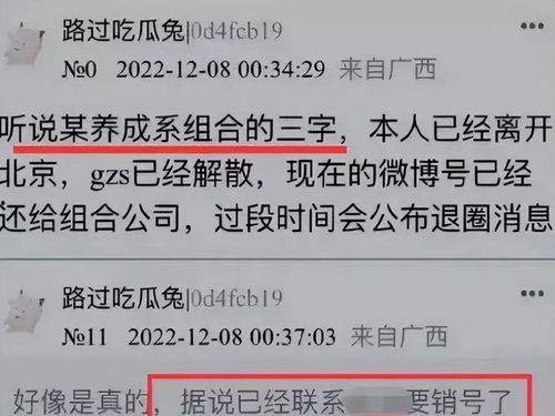 女子爆料王俊凯杨幂视频,女子爆料背后的真相揭秘  第3张