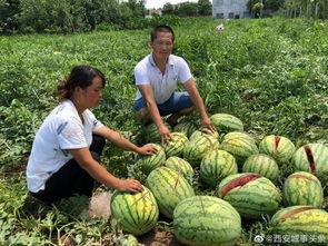郴州网红吃瓜事件,揭秘网络舆论的风暴与真相 第3张 郴州网红吃瓜事件,揭秘网络舆论的风暴与真相 第3张