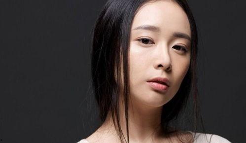 圈内人爆料高叶,圈内人揭秘，她背后的故事与成就