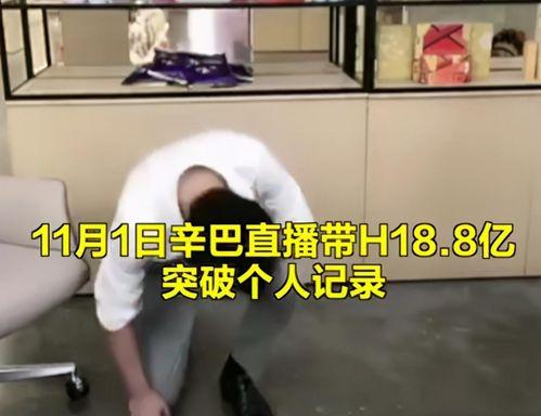 网友爆料燕窝视频大全集,燕窝视频大全集，揭秘燕窝真相与误区