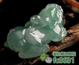 新宠物貔貅爆料视频,视频爆料背后的神秘魅力  第2张