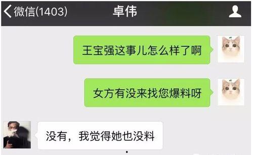 璐宝最新爆料视频播放,揭秘幕后真相，带你走进事件核心