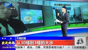 沈阳爆料最新,揭秘城市热点事件背后的真相 第2张 沈阳爆料最新,揭秘城市热点事件背后的真相 第2张