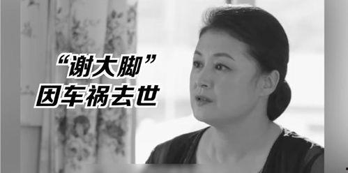 吃瓜娱乐圈的王子,娱乐圈的瓜田传奇  第2张