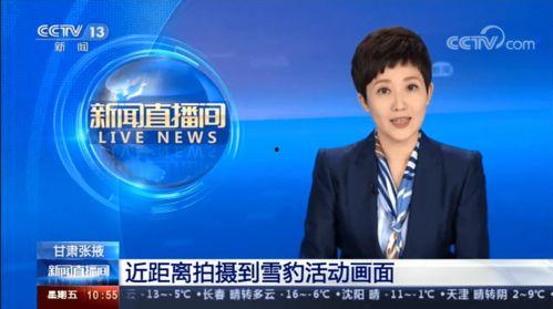 甘肃爆料最新新闻报道,聚焦民生热点事件追踪 第3张 甘肃爆料最新新闻报道,聚焦民生热点事件追踪 第3张