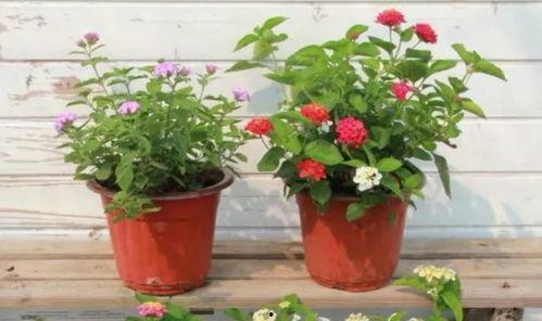 常州地产爆料事件视频最新,揭露背后惊人真相 第3张 常州地产爆料事件视频最新,揭露背后惊人真相 第3张