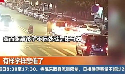 重庆八楼爆料事件视频,揭秘背后惊人真相 第3张 重庆八楼爆料事件视频,揭秘背后惊人真相 第3张