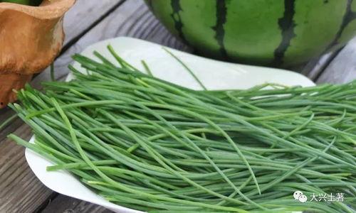 网红吃瓜大集合图片高清,高清图鉴揭秘娱乐圈幕后风云  第3张