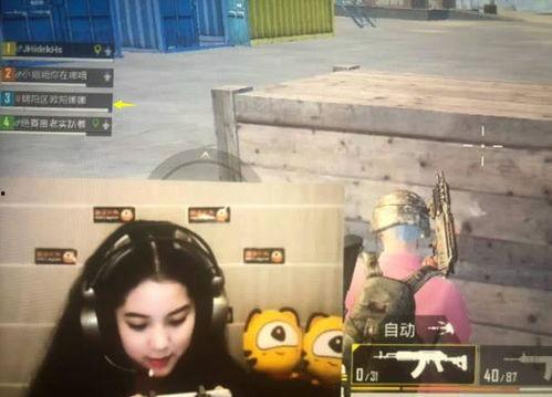 娱乐吃瓜欧阳娜娜视频大全,笑料百出，趣味十足  第2张