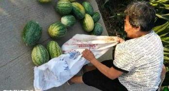 吴忠吃瓜最新事件爆料,揭秘背后惊人真相 第2张 吴忠吃瓜最新事件爆料,揭秘背后惊人真相 第2张