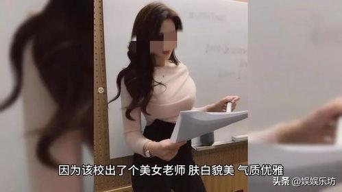 教师人妻在线观看,揭秘教师家庭生活背后的秘密