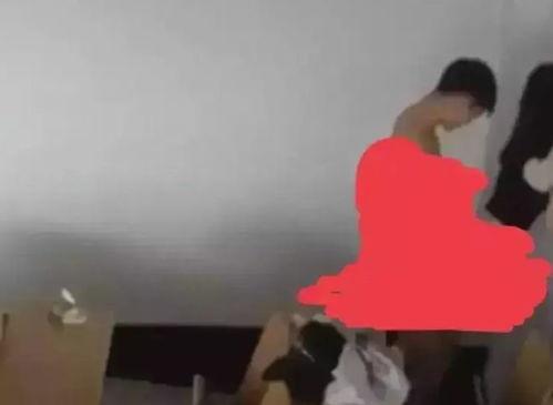 大学生吃瓜最新事件爆料,揭秘大学生吃瓜事件背后的真相与热议  第2张