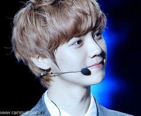 鹿晗韩国爆料视频大全最新,独家幕后花絮大公开 第3张 鹿晗韩国爆料视频大全最新,独家幕后花絮大公开 第3张