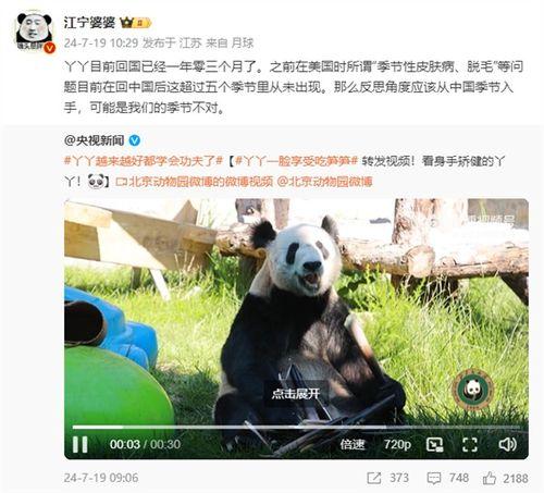 yy大熊猫最新爆料消息 第2张 yy大熊猫最新爆料消息 第2张