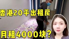 惩治无良房东爆料视频,视频爆料引发社会关注  第2张