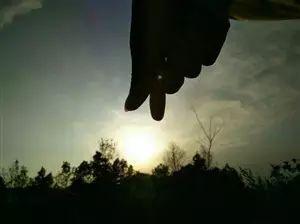 小道八卦最新爆料,小道八卦最新爆料,明星幕后真相大曝光! 第2张 小道八卦最新爆料,小道八卦最新爆料,明星幕后真相大曝光! 第2张