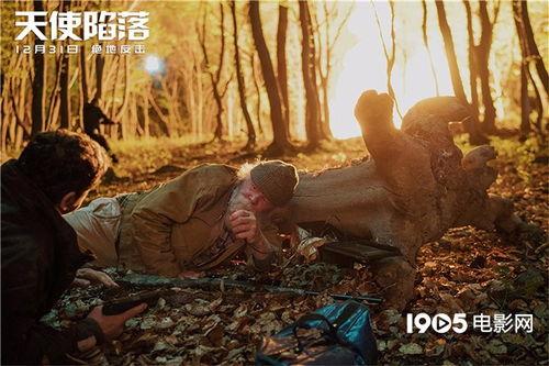 天使陷落在线观看,惊心动魄的特工危机