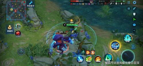 爆料王者打野视频大全,视频大全深度解析  第2张