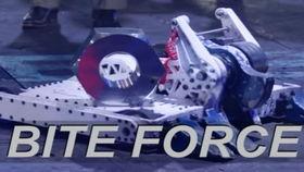 battlebots在线观看,BattleBots在线观看之旅