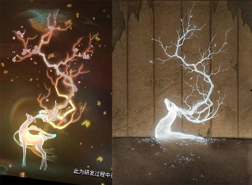 瑶妹遇见神鹿爆料视频,揭秘神秘森林奇遇记