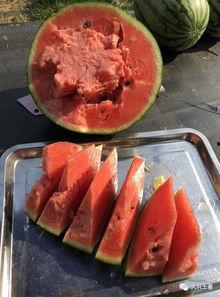 沂水吃瓜网红,揭秘乡村网络红人的崛起之路 第2张 沂水吃瓜网红,揭秘乡村网络红人的崛起之路 第2张