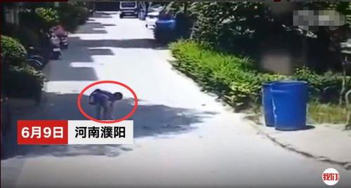 河南一小区爆料事件最新,业主维权引发关注，真相背后引热议