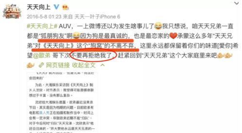 娱乐圈爆料经常怎么说的,揭秘明星背后的真相与传闻