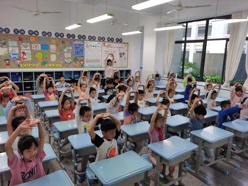 礼贤小学爆料新闻报道,校园风采展现教育新篇章