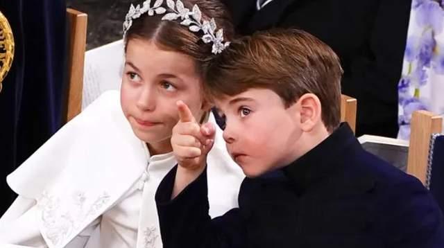 夏洛特新闻爆料,揭秘幕后真相