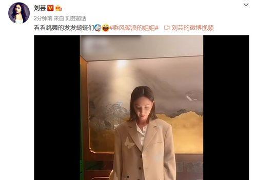 刘芸爆料视频大全集,揭秘娱乐圈幕后真相