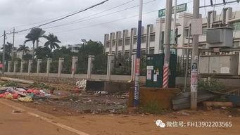 雷州英利最新爆料,揭秘项目进展与未来规划