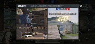 爆料视频火力直播,爆料视频背后的真相与内幕