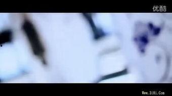 花为眉在线观看,穿越时空的浪漫邂逅  第2张