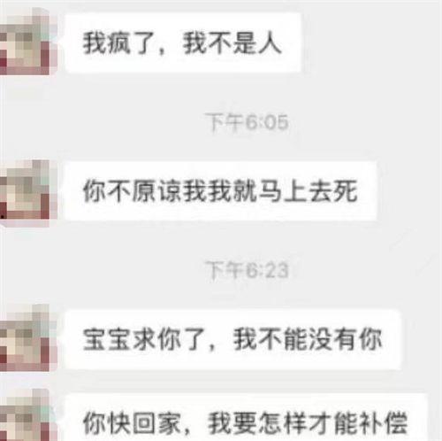 新人爆料出轨视频大全集,揭秘新人背叛瞬间