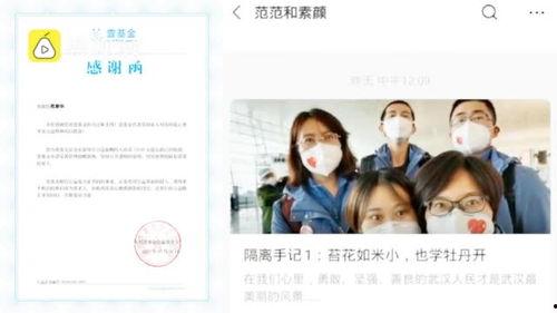 李文最新爆料消息视频,事件真相再引热议