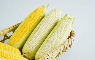 玉米卖货爆料视频,爆款视频背后的卖货秘诀 第3张 玉米卖货爆料视频,爆款视频背后的卖货秘诀 第3张