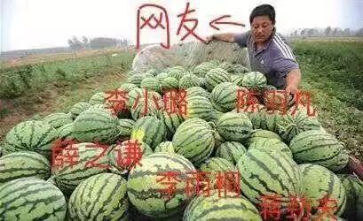 娱乐吃瓜公司有哪些,盘点热门吃瓜公司背后的故事 第3张 娱乐吃瓜公司有哪些,盘点热门吃瓜公司背后的故事 第3张