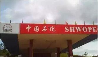 济宁加油站爆料视频  第3张